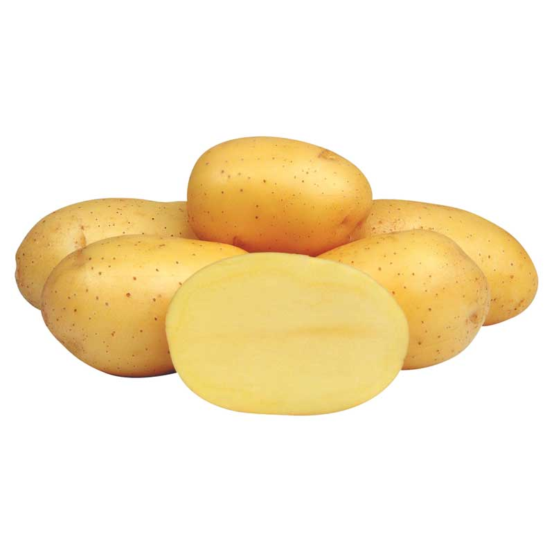 krumpir emiliana