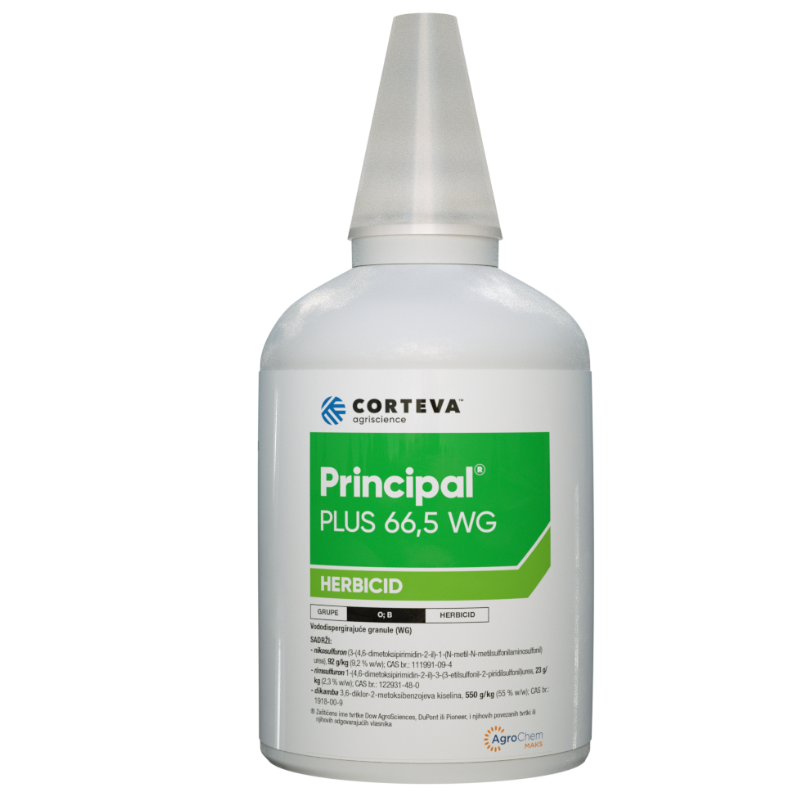 principal plus