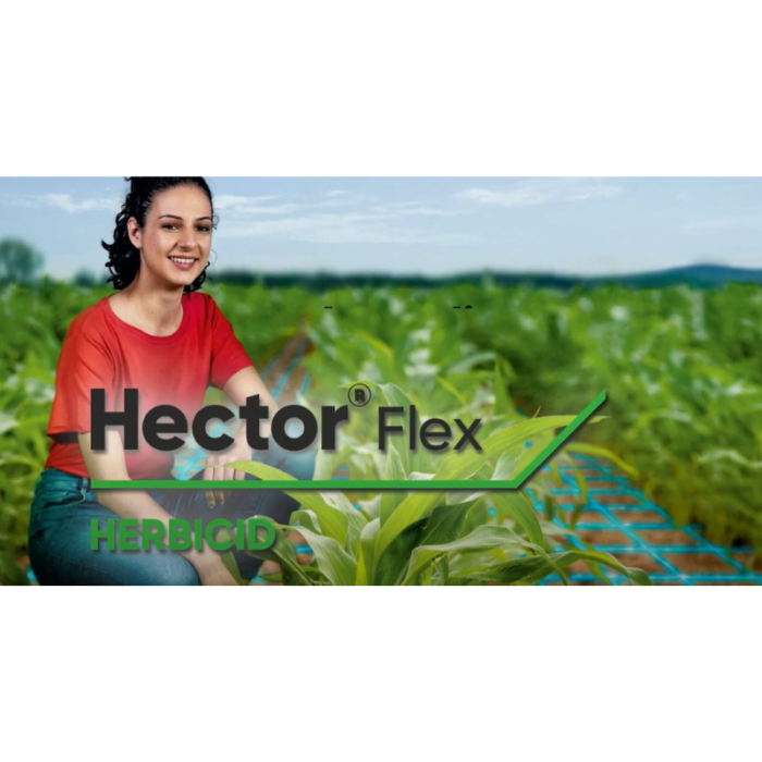 Hector Flex