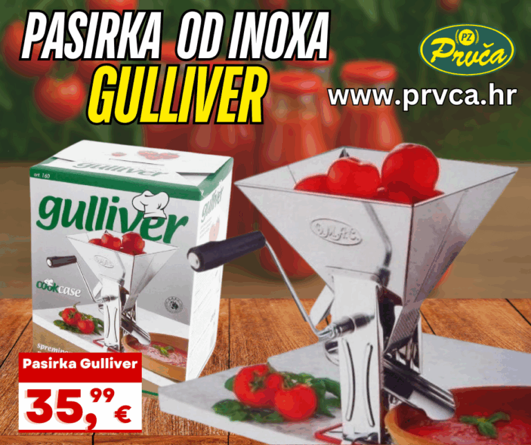pasirka gulliver (6)