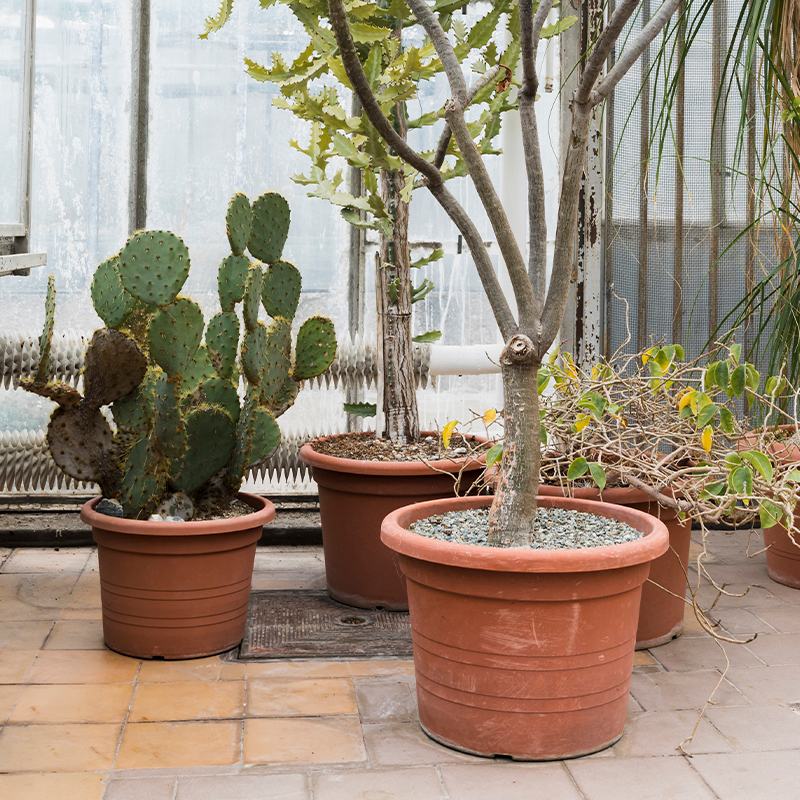 Pots and planters