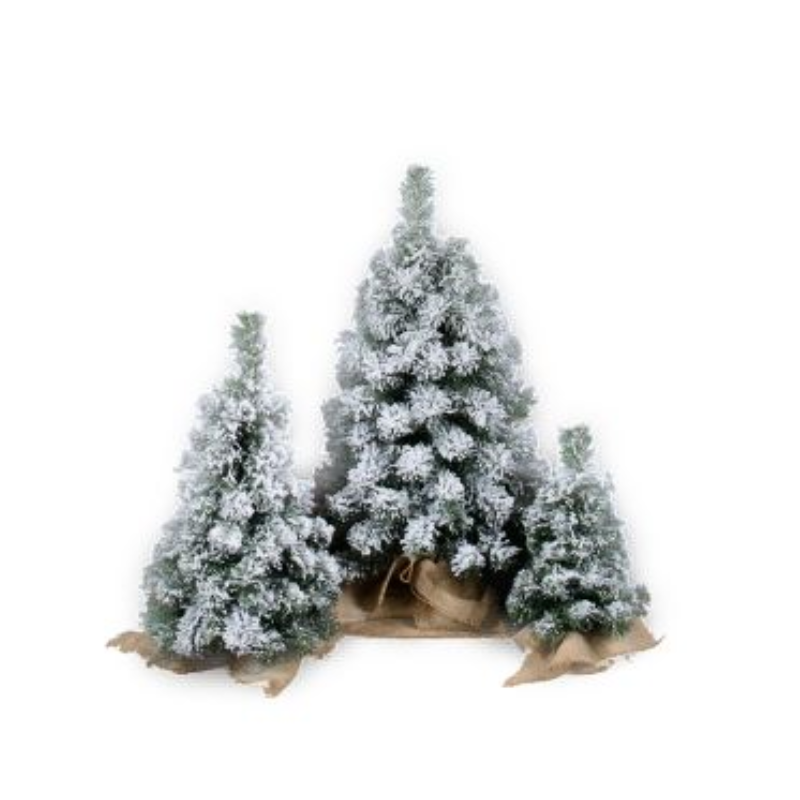 patuljasto snježno s jutom