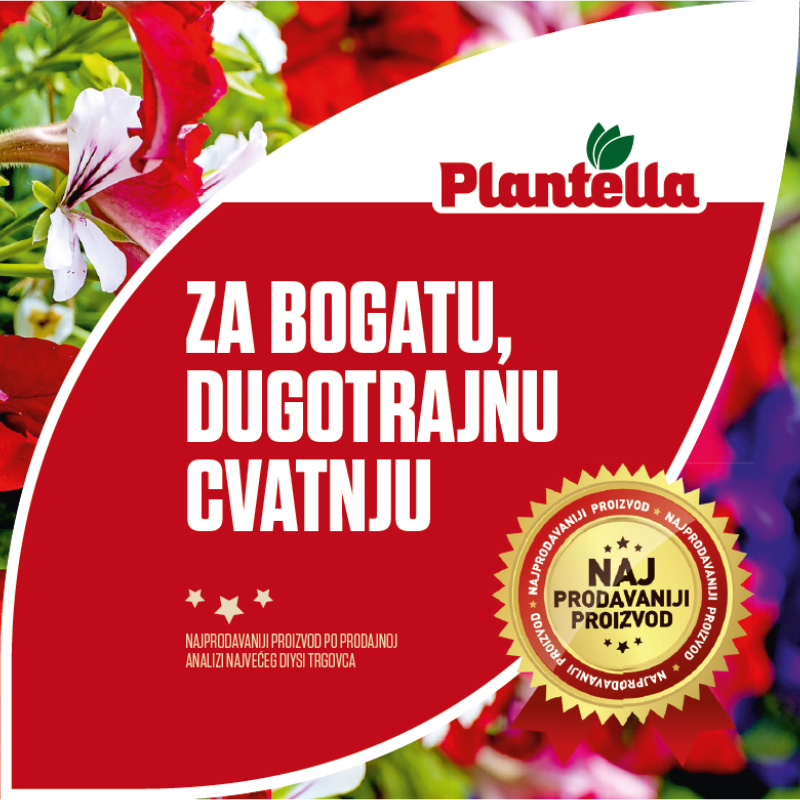 plantella cvijet banner