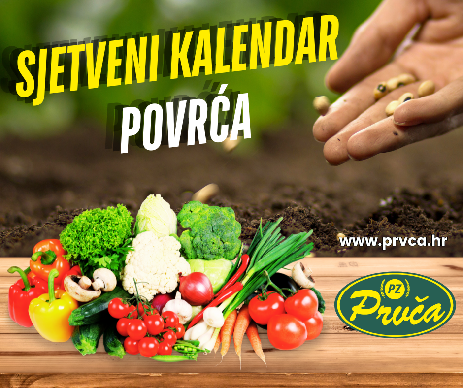 sjetveni kalendar povrća