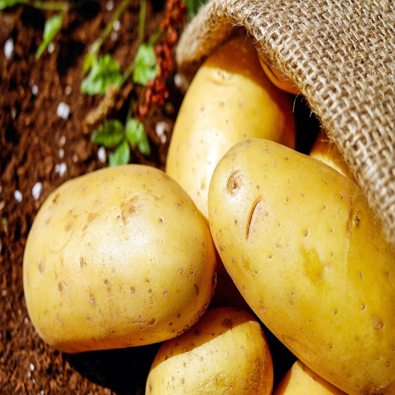 potatoes 1585060 1280 resized