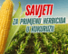 🌱 Savjeti za učinkovitu i sigurnu primjenu herbicida u kukuruzu