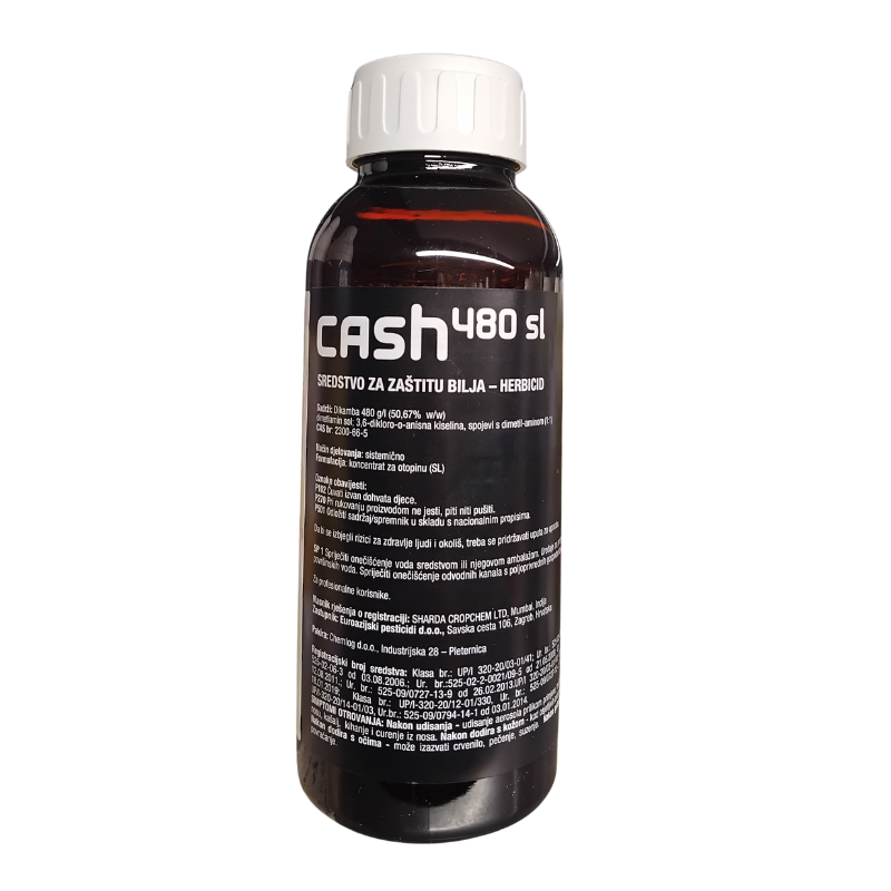 Cash