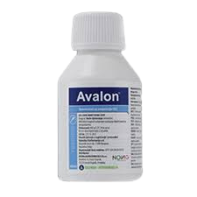 avalon 100 ml