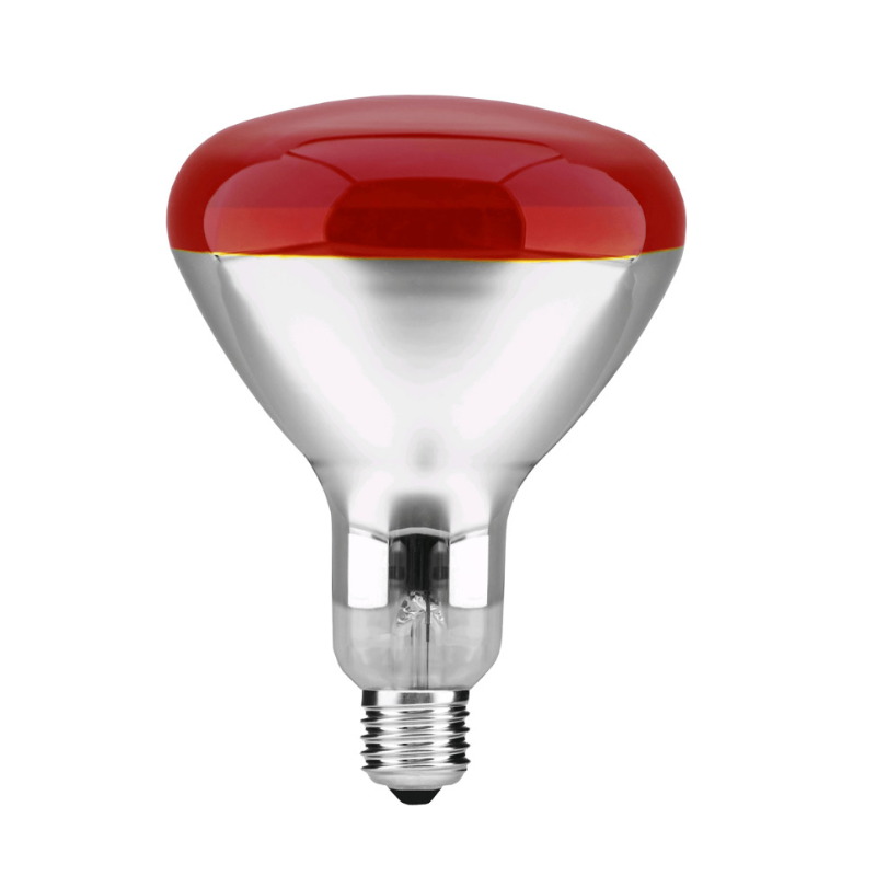 Untitled design 2025 12 10T054229.585