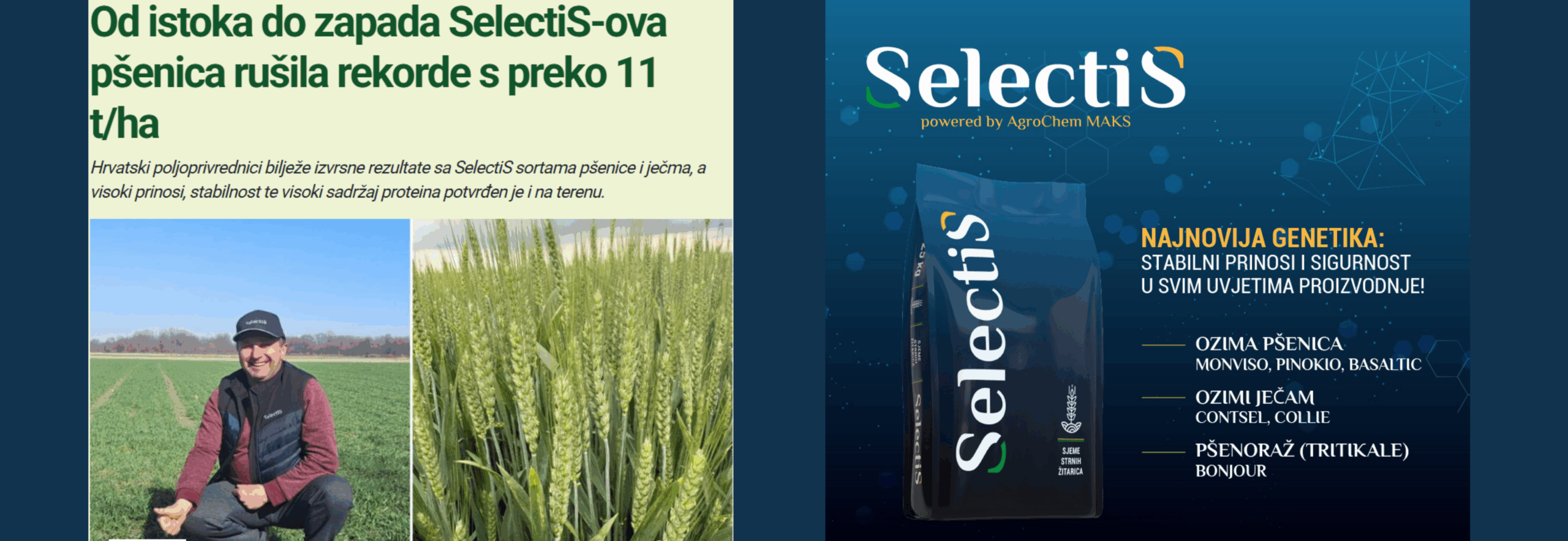 web shop (1)