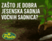 jesenska sadnja voćnih sadnica