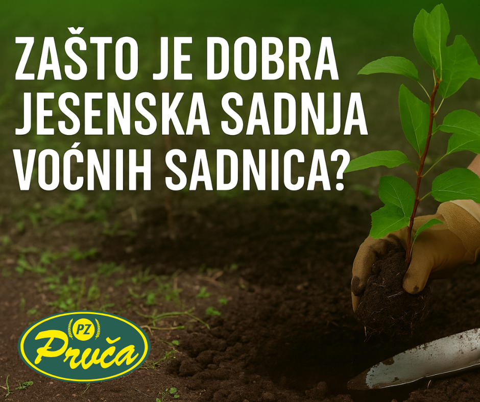 jesenska sadnja voćnih sadnica