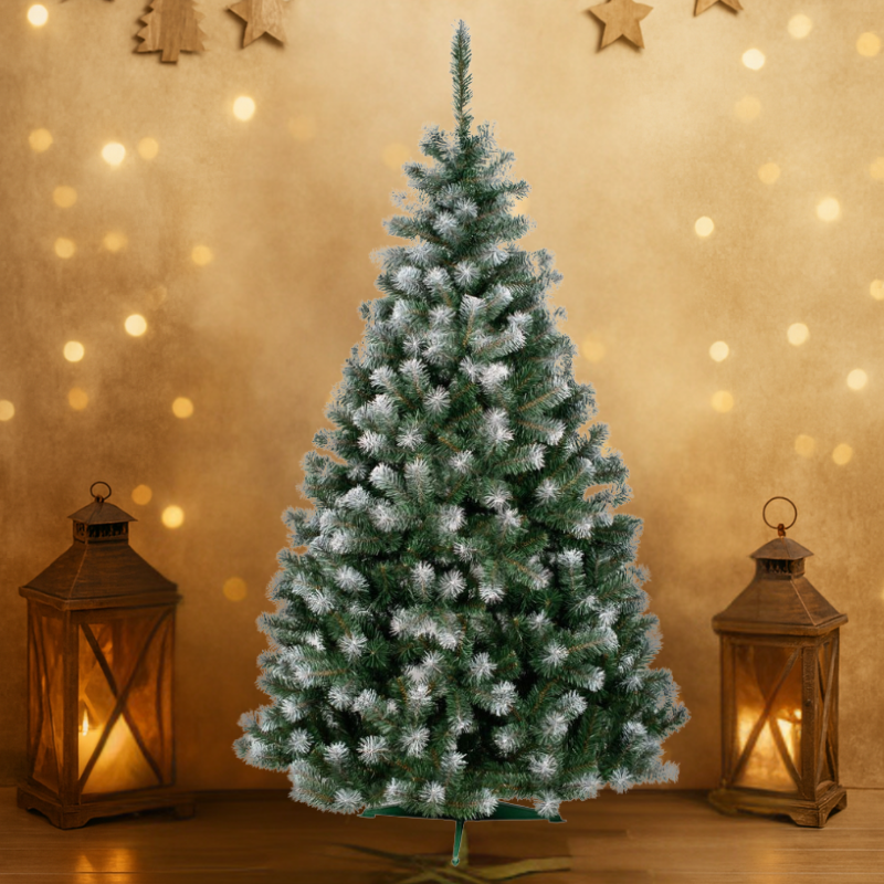 Untitled design 2025 12 10T062532.347