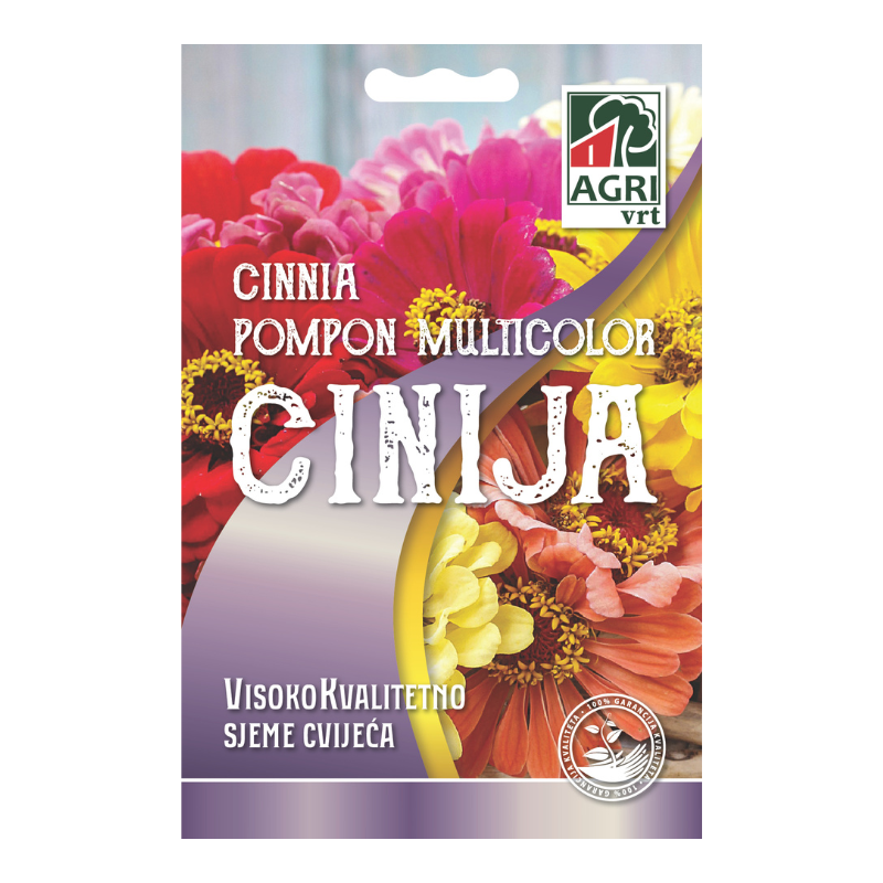 Cvijece Cinija Pompon multicolor 01