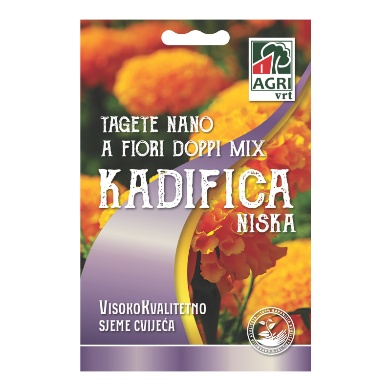 Cvijece Kadifica niska 01