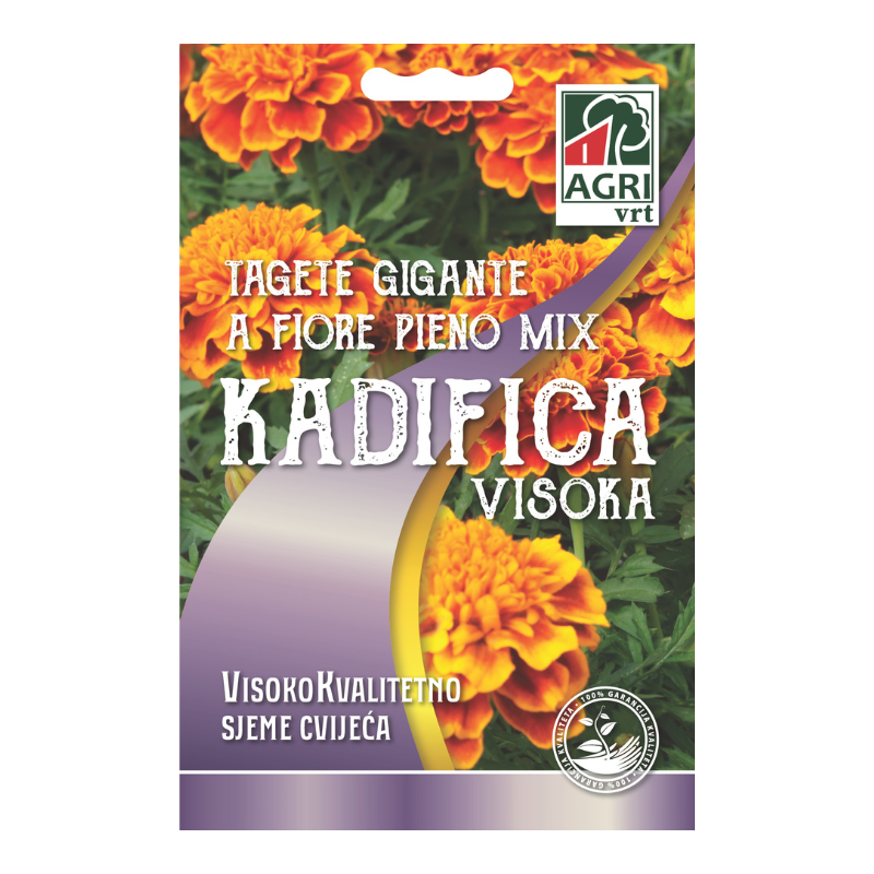 Cvijece Kadifica visoka 01