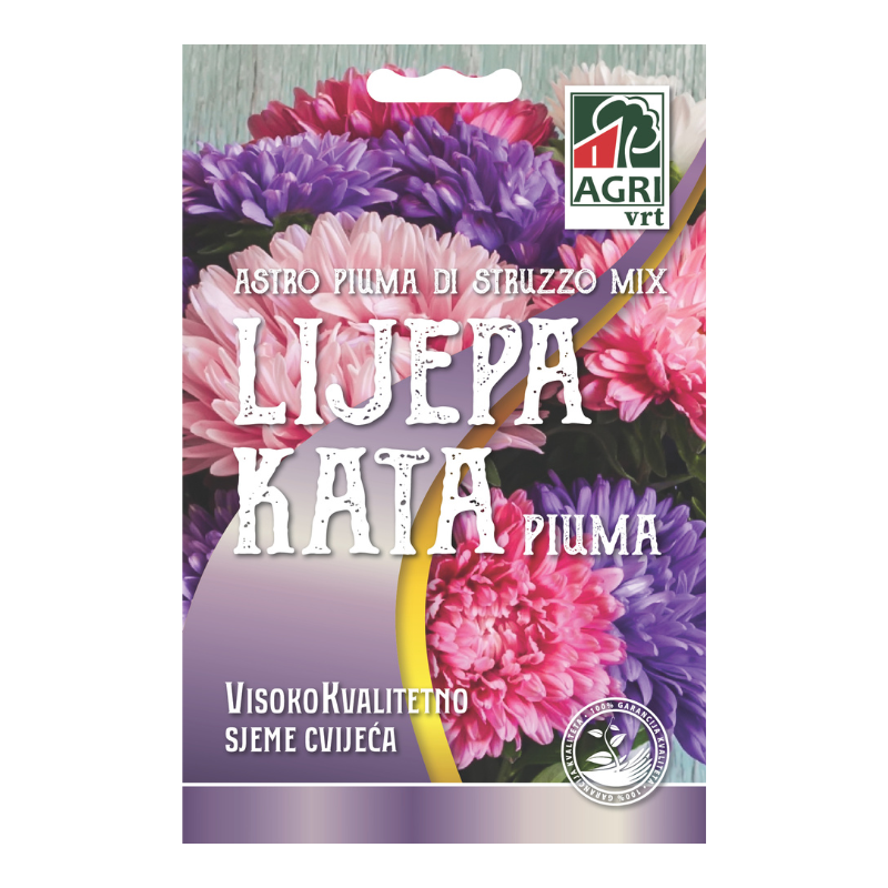 Cvijece Ljepa kata Piuma 01