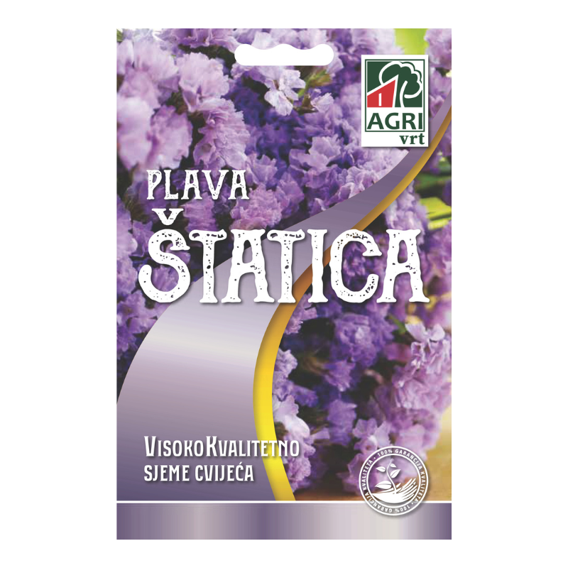 Cvijece Statica Plava 01