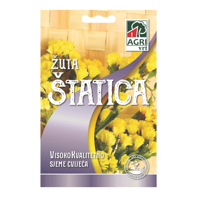 Cvijece Statica Zuta 01