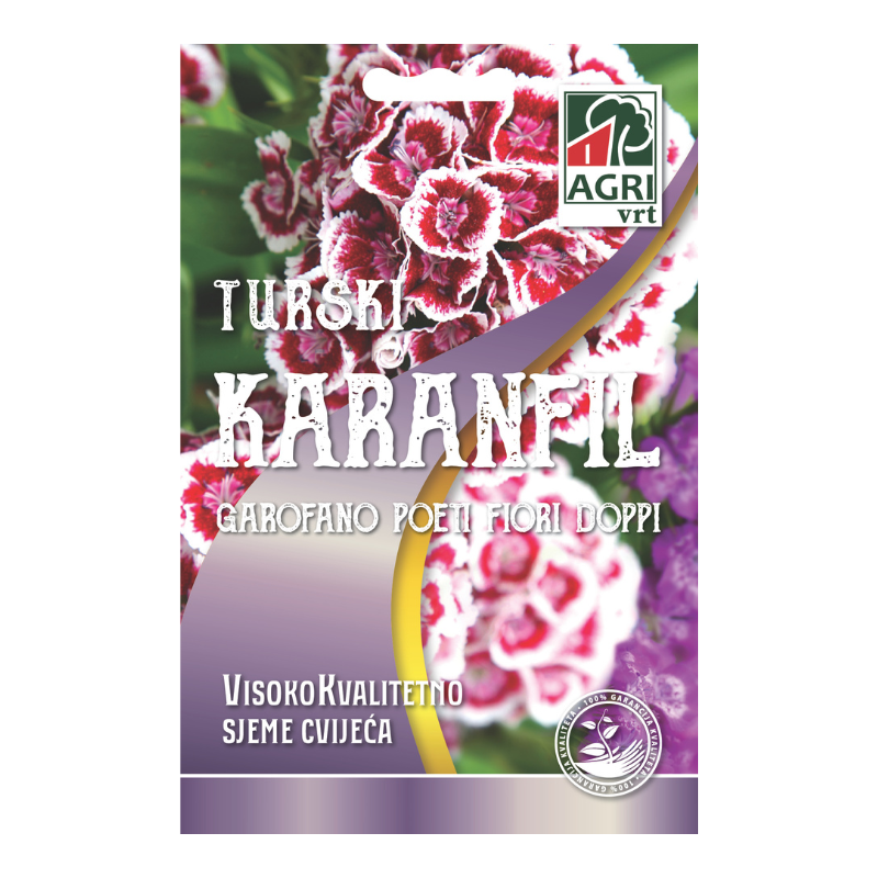 Cvijece Turski karanfil Doppi 01