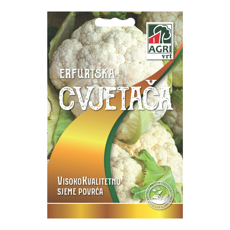 Povrce Cvjetaca Erfurtska 01