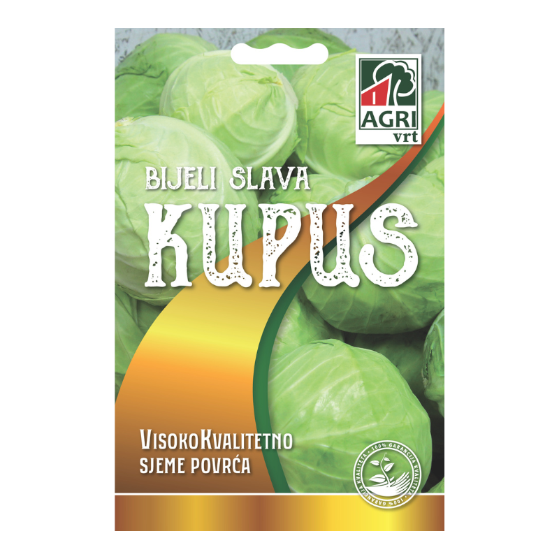 Povrce Kupus Bijeli Slava 01