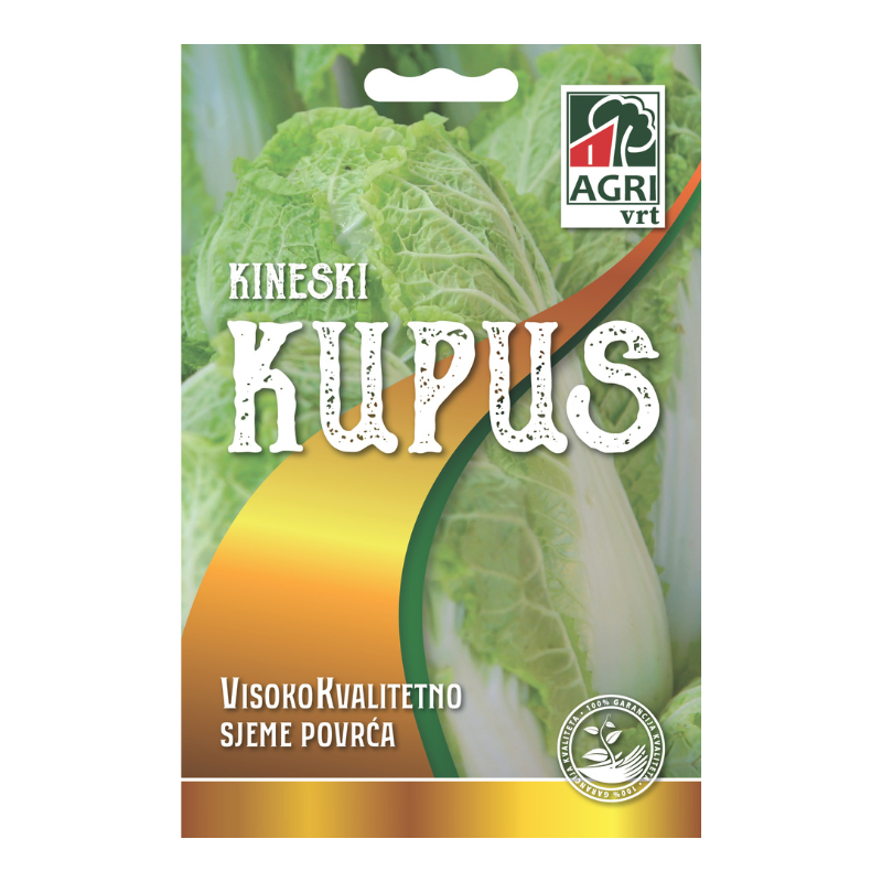Povrce Kupus kineski 01