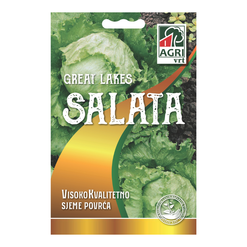 Povrce Salata Great lakes 01