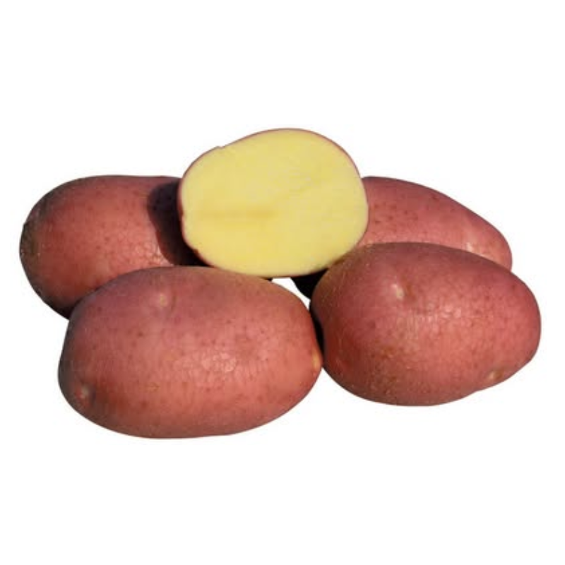 Untitled design 2026 02 04T162426.880