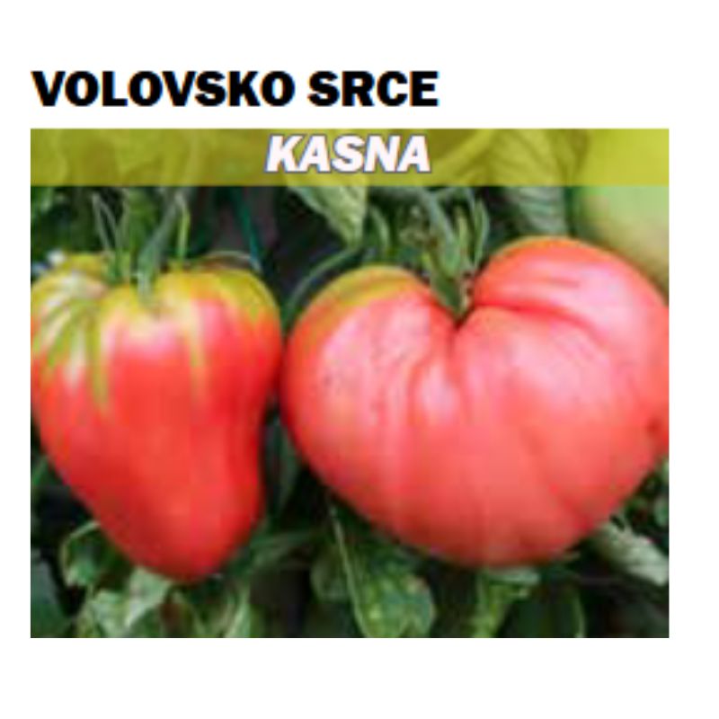 Untitled design 2026 02 15T170951.512