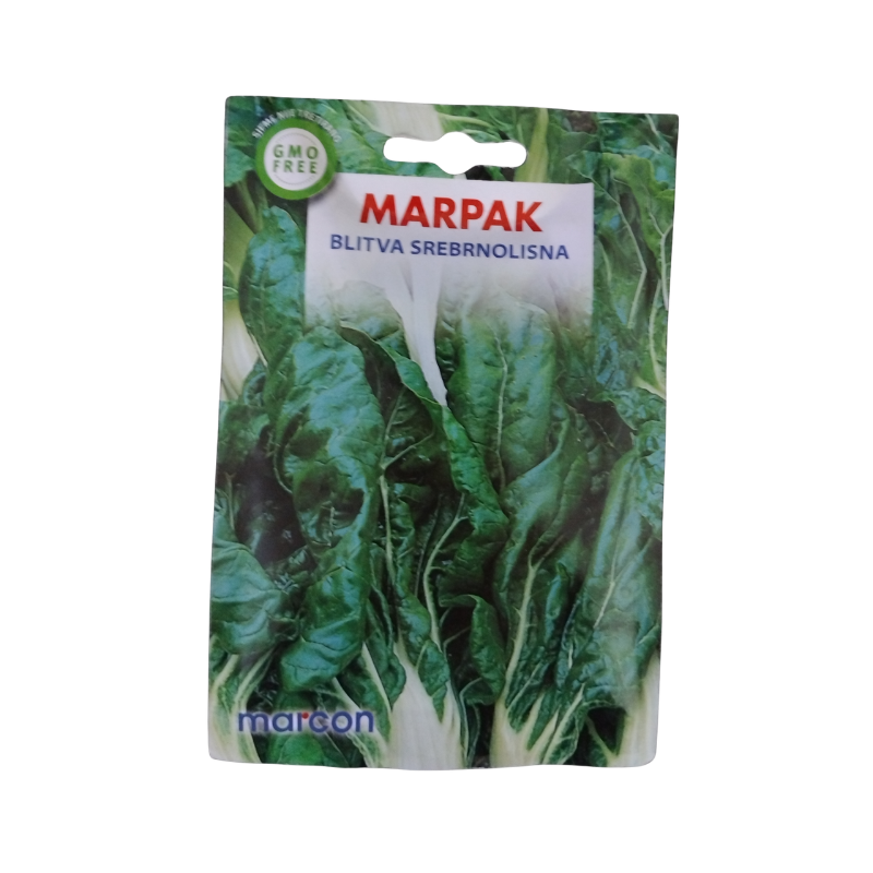 blitva srebrnolisna