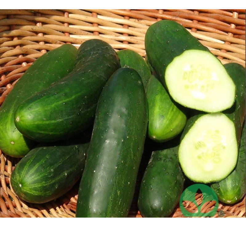 presadnice povrća (6)