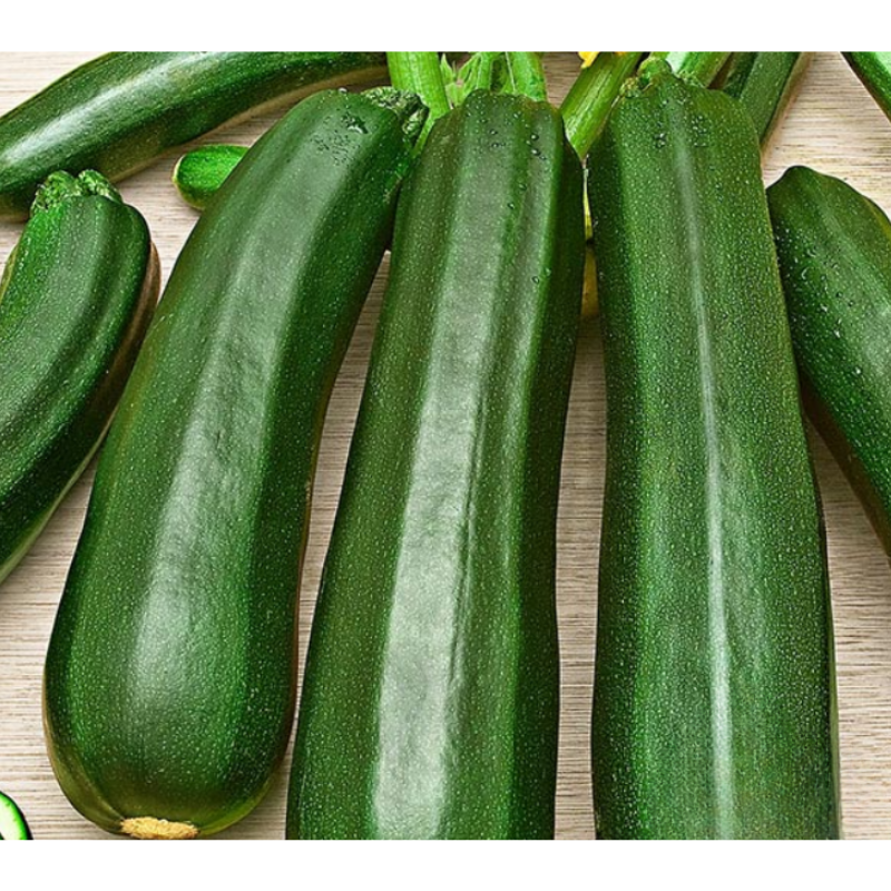 presadnice povrća (8)