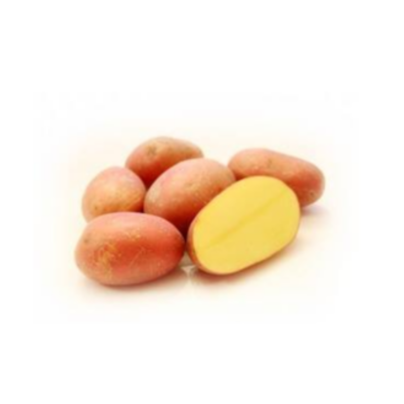 sjemenski krumpir Laura