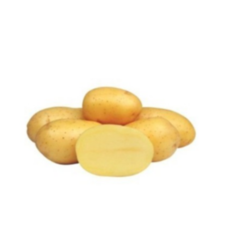 sjemenski krumpir Marabel