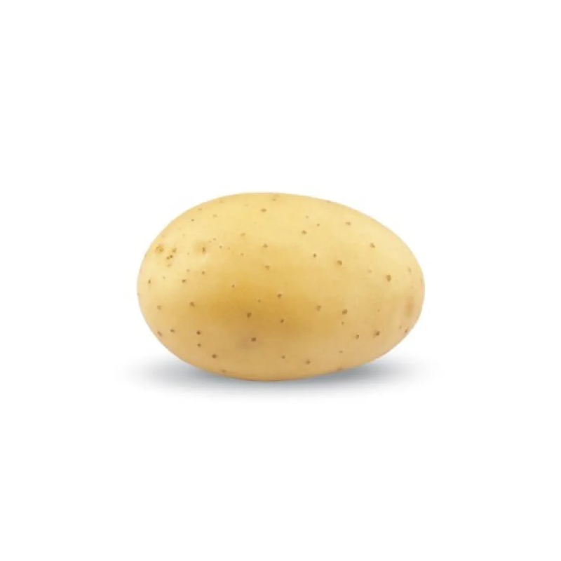 Untitled design 2026 03 06T070635.109