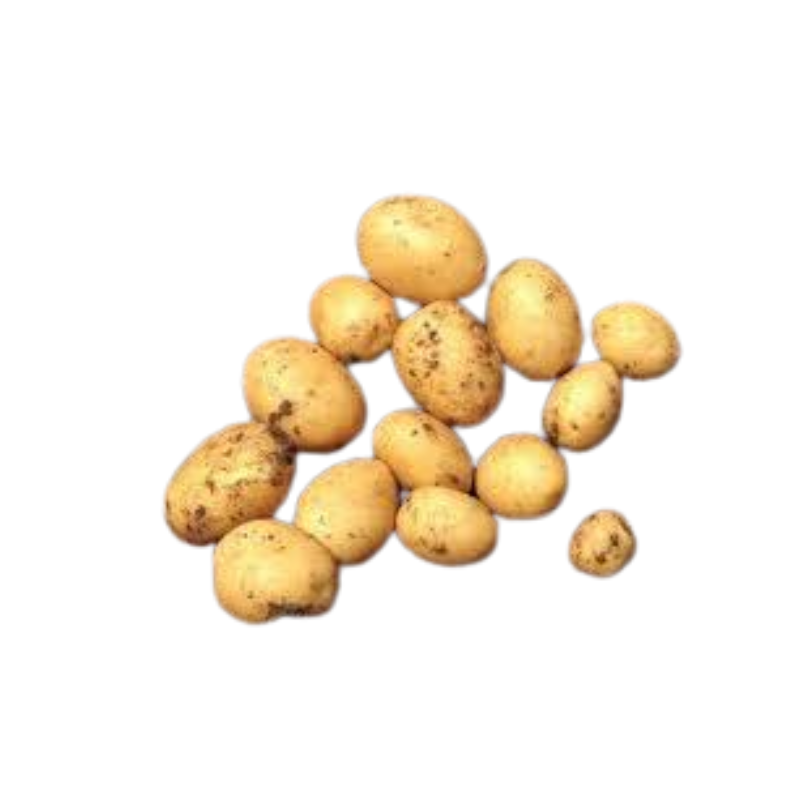 Untitled design 2026 03 06T070825.399