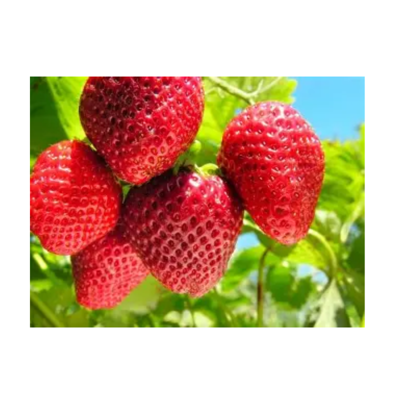 Untitled design 2026 03 07T045334.270