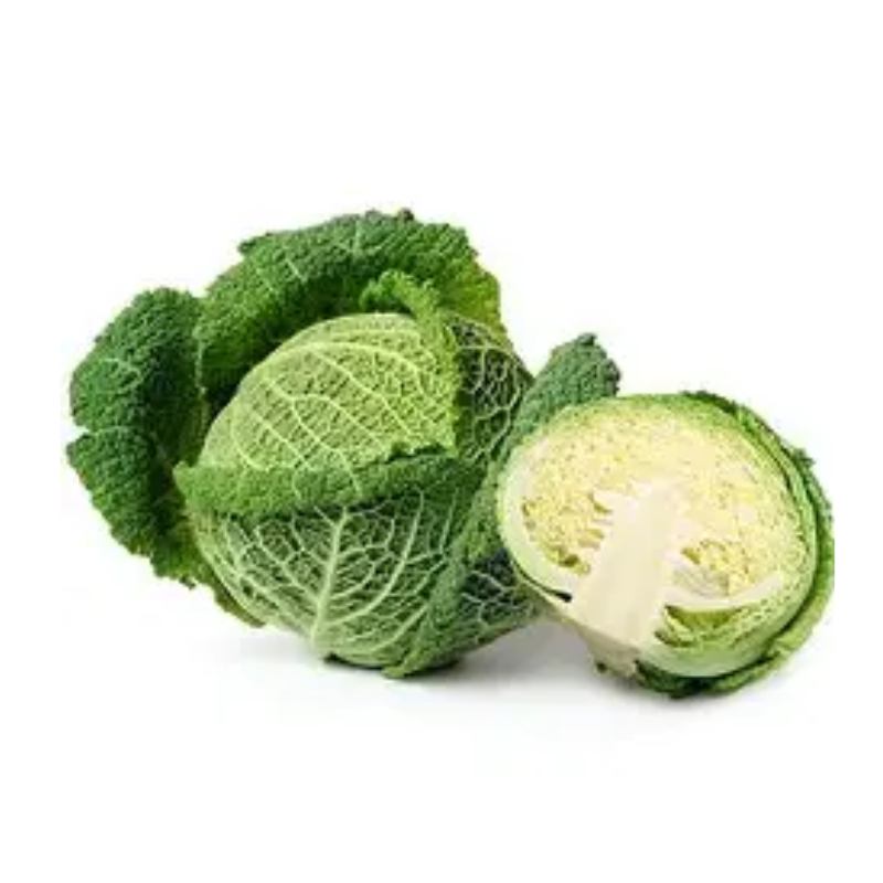 Untitled design 2026 03 07T045438.694