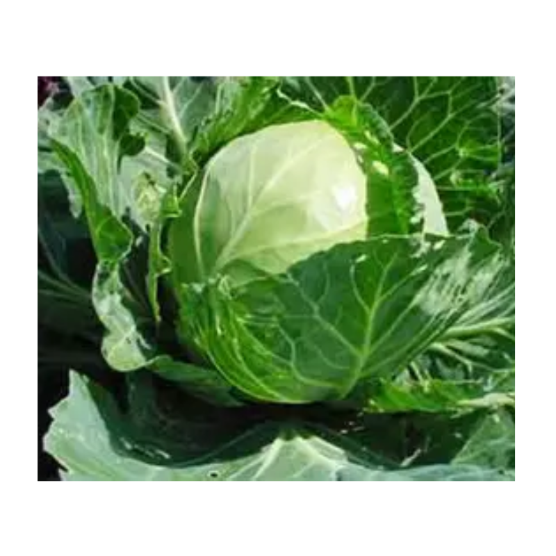 Untitled design 2026 03 07T045601.020