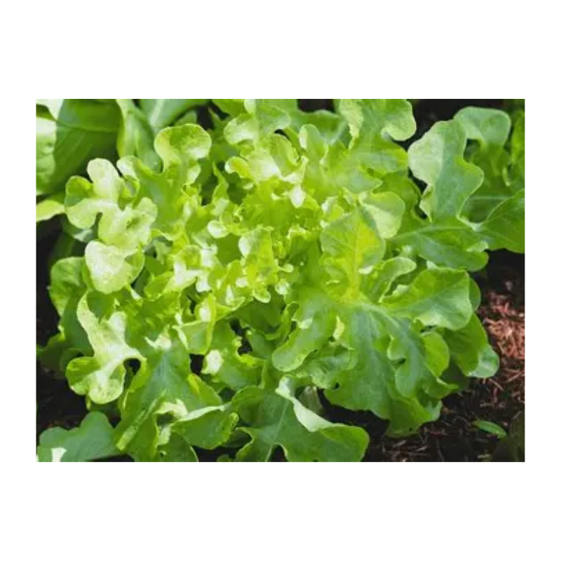 Untitled design 2026 03 07T045943.259