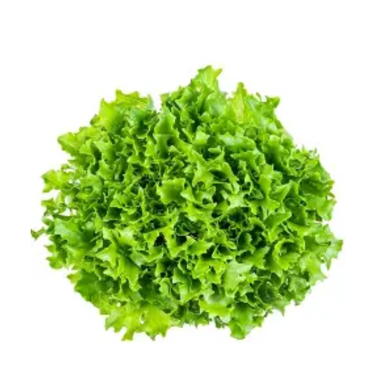 Untitled design 2026 03 07T050054.685