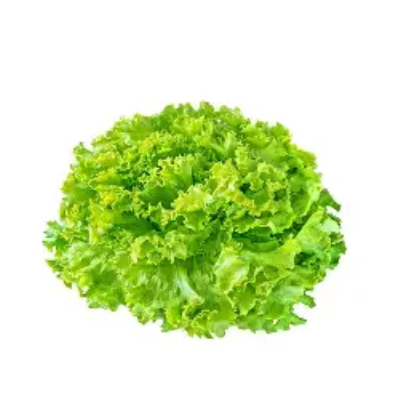 Untitled design 2026 03 07T050219.570