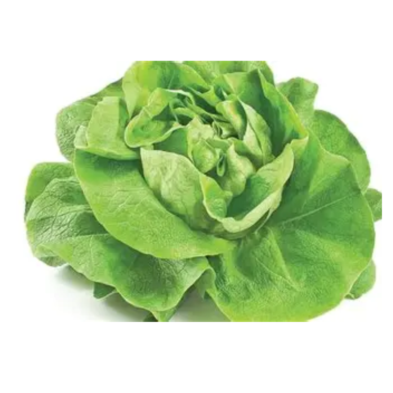 Untitled design 2026 03 07T050358.128