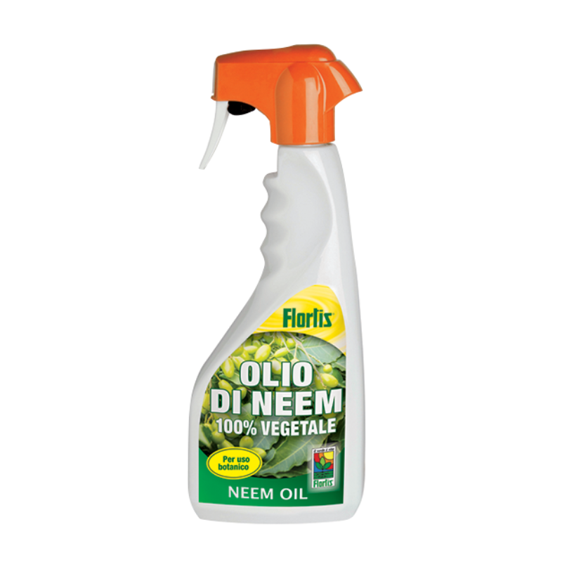 Untitled design 2026 03 21T233055.932