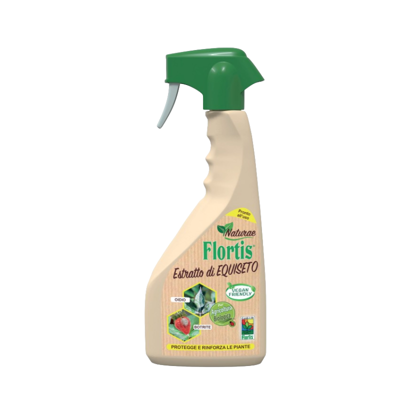 Untitled design 2026 03 22T091803.246