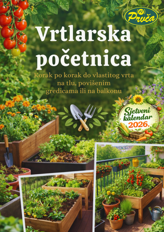 vrtlarica margine (9)